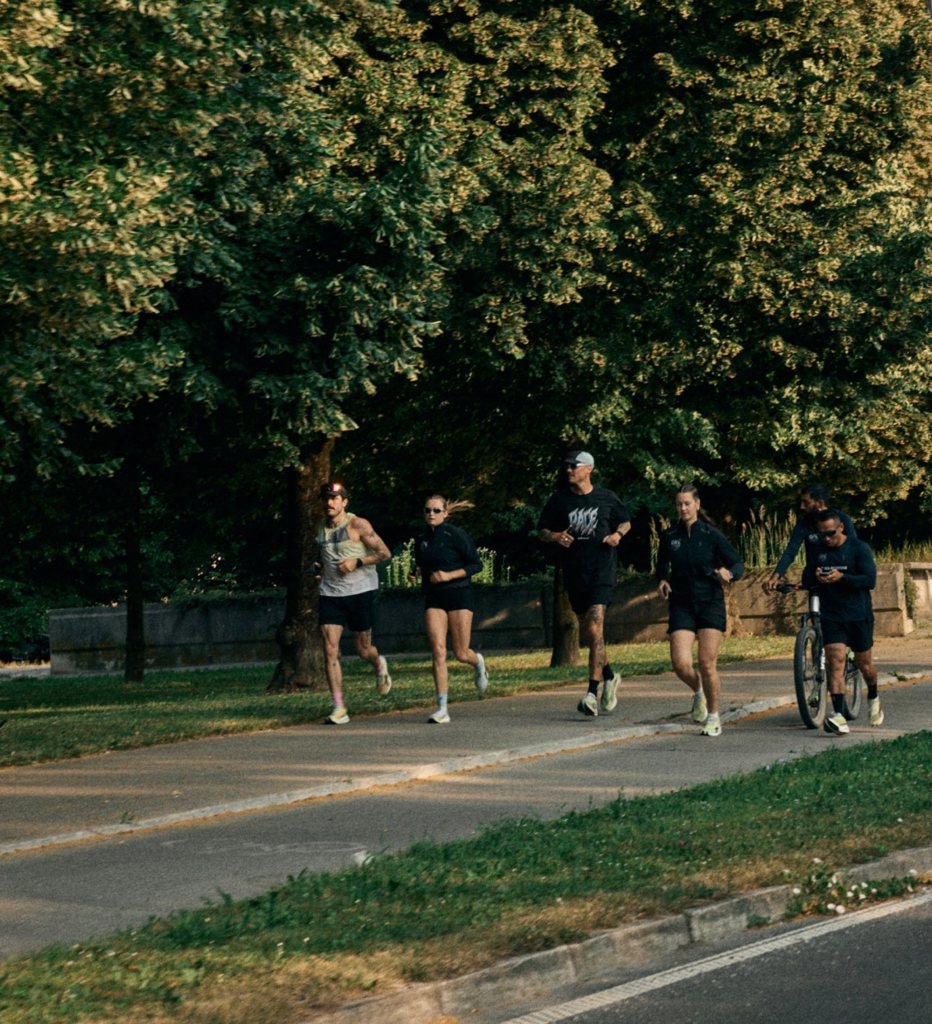 Group run on a tree-lined path in the morning light